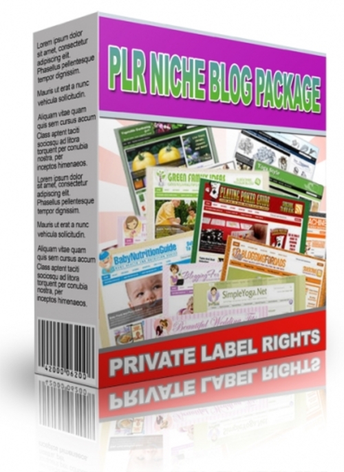 Product picture PLR Niche Blog Package June 2013